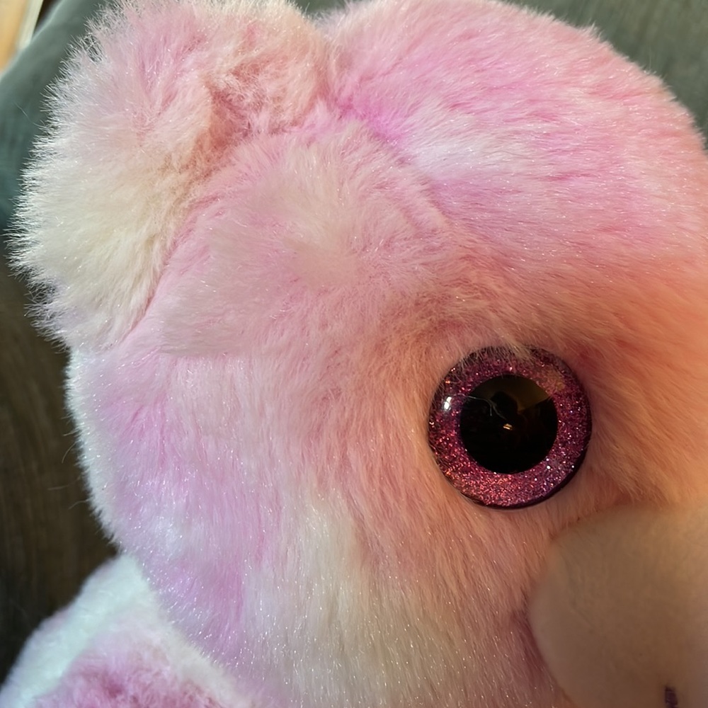 Spark bear - Picture 7 of 7